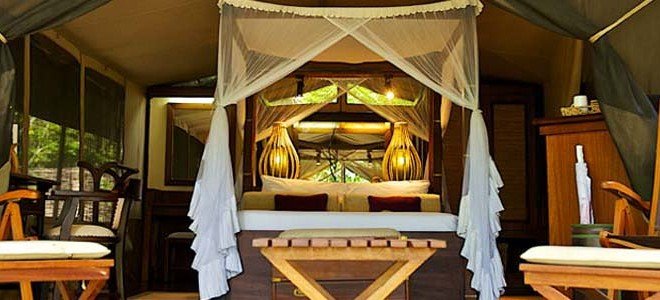 Kenya Eco lodge vacanze safari
