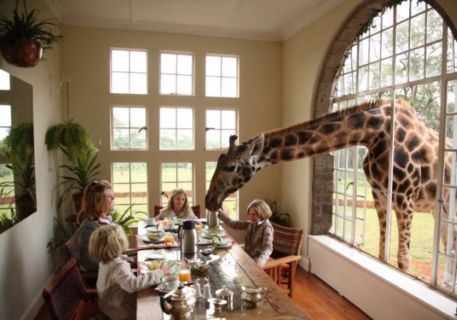 San Valentino in Kenya villa giraffe
