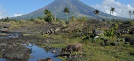 Filippine Mayon vulcano