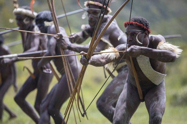 Raz&tribe papua